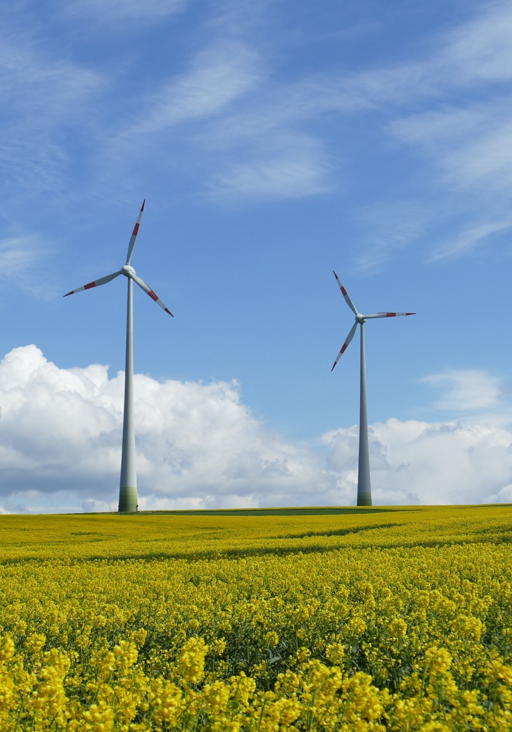 利用算力节省电力资源